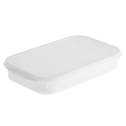 Контейнер для заморозки продуктов пластмассовый "Морозко" 800мл, 22х13х4см, полипропилен, с крышкой п/э, белый (Китай)