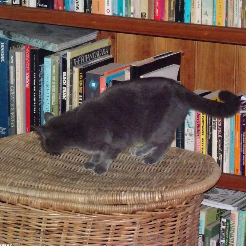 Корзина для белья, размер M, терракота